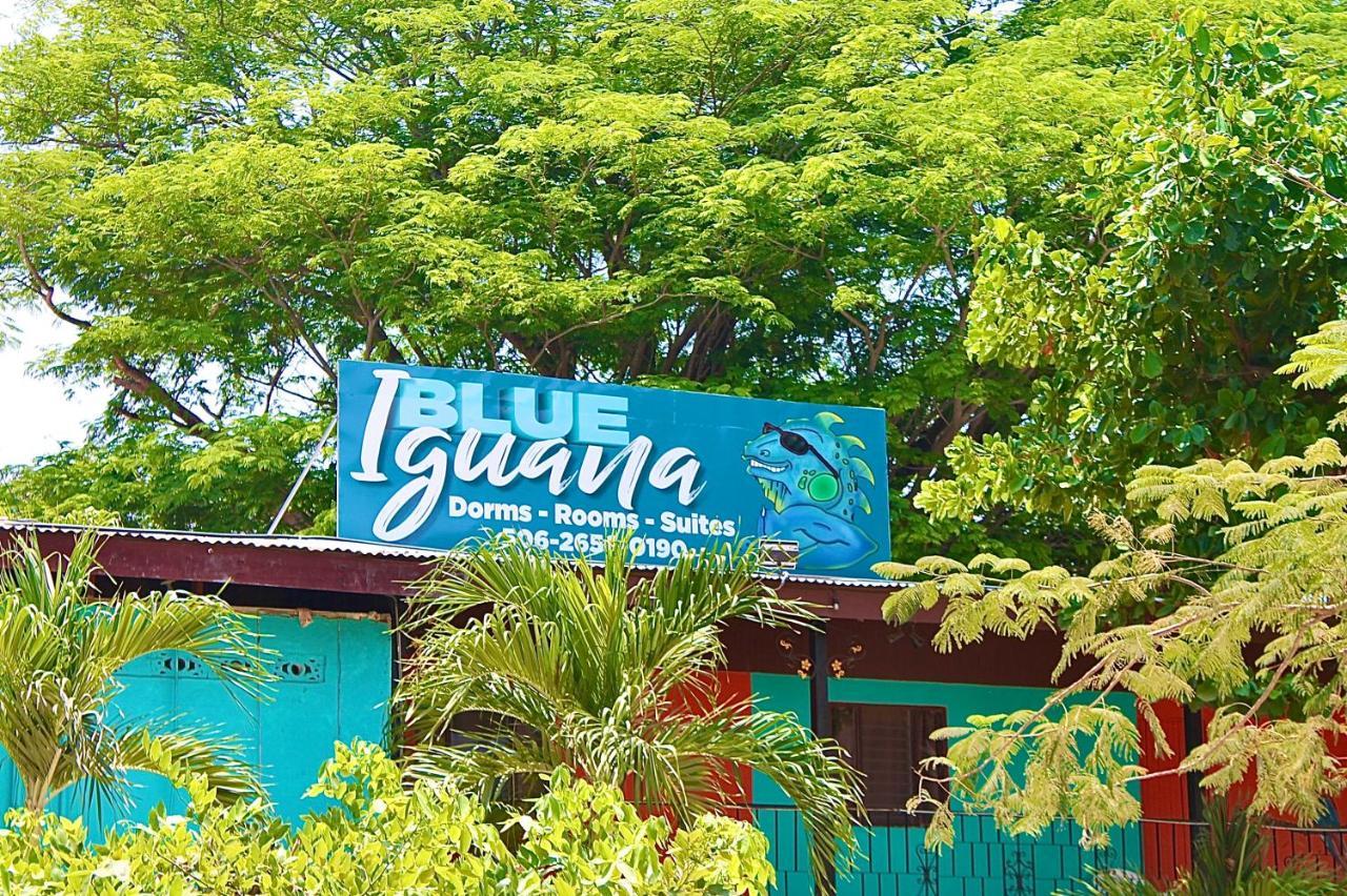 Hotel Blue Iguana Sámara Exteriér fotografie