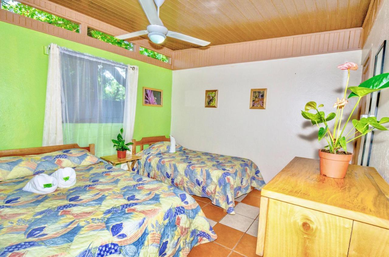 Hotel Blue Iguana Sámara Exteriér fotografie
